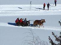 Hotel Post Ramsau am Dachstein Zewnętrze zdjęcie